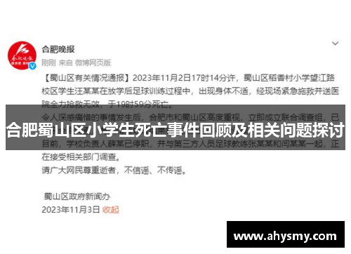 合肥蜀山区小学生死亡事件回顾及相关问题探讨