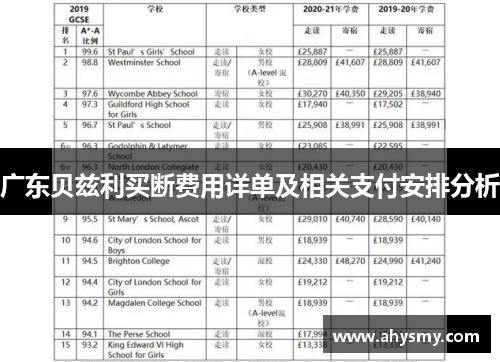 广东贝兹利买断费用详单及相关支付安排分析