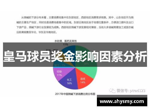 皇马球员奖金影响因素分析