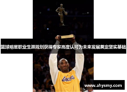 篮球明星职业生涯规划获得专家高度认可为未来发展奠定坚实基础 篮球明星职业生涯规划获得专家高度认可为未来发展奠定坚实基础